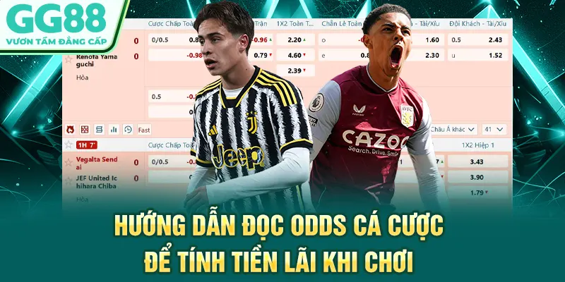 Hướng dẫn đọc odds cá cược để tính tiền lãi khi chơi