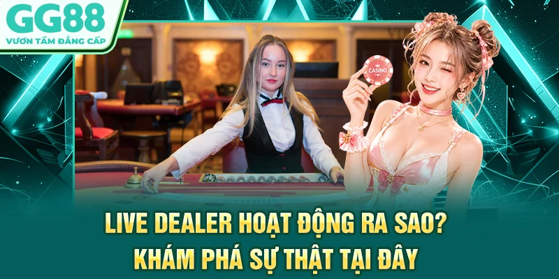 Live Dealer Hoạt Động Ra Sao? Khám Phá Sự Thật Tại Đây