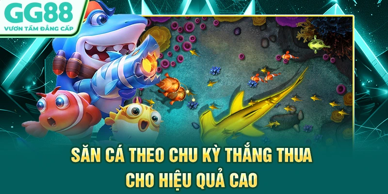 Săn cá theo chu kỳ thắng thua cho hiệu quả cao