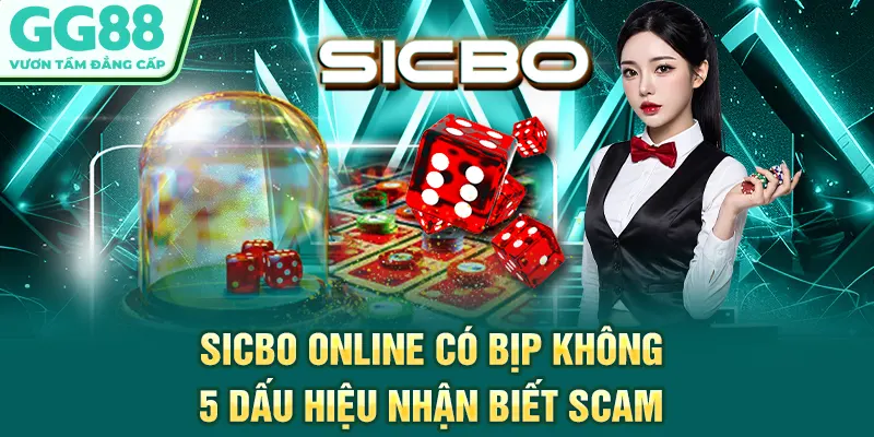 Sicbo Online Có Bịp Không - 5 Dấu Hiệu Nhận Biết Scam