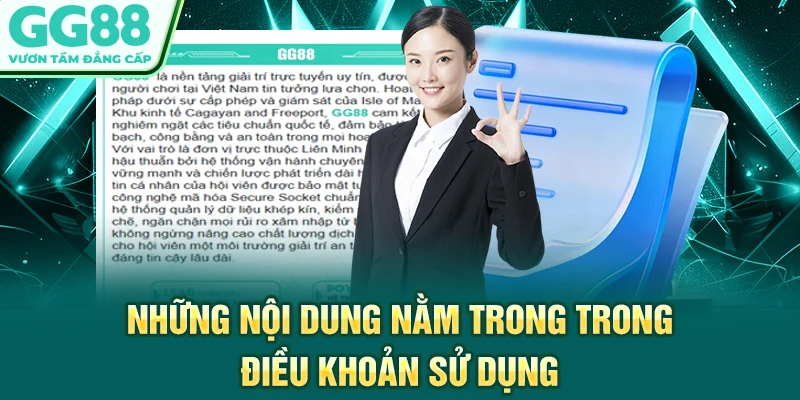 Những nội dung nằm trong trong điều khoản sử dụng